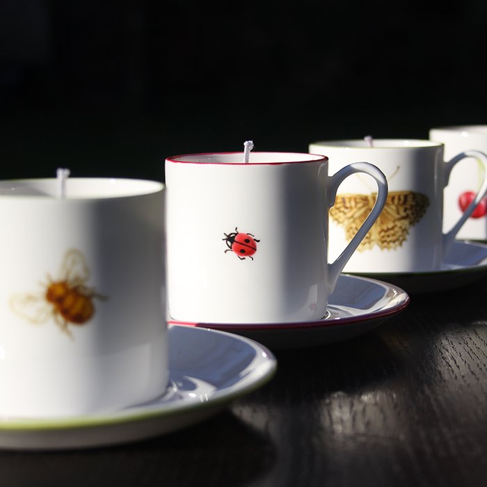 2 Teacup Designs